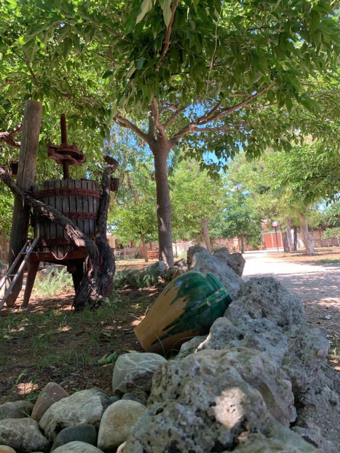 Alojamento de Acomodação e Pequeno-almoço Tenuta Nonno Carmine Porto Cesareo